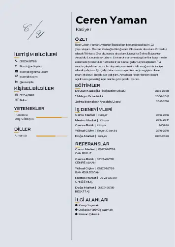 Kasiyer cv indir